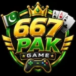667PAK Game