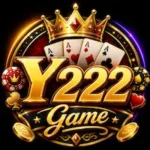 Y222 Game