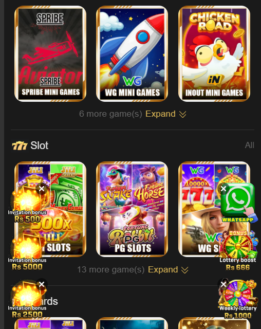 ER666 Game